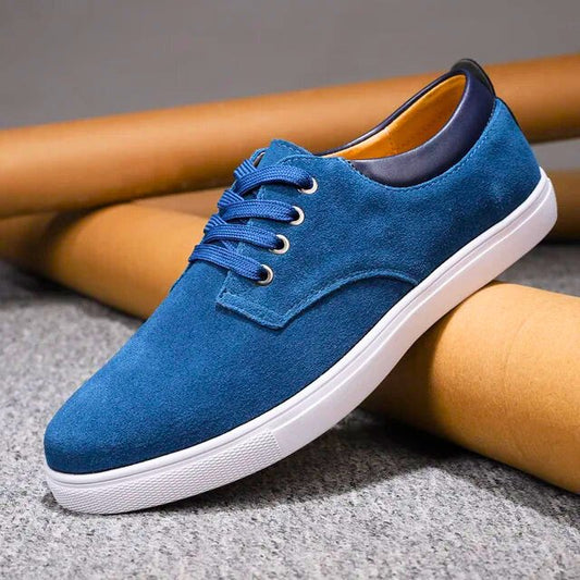 Alessio Genuine Suede Leather Shoes