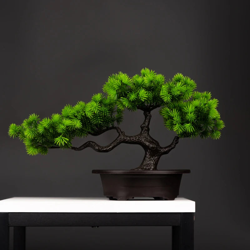 Zen Aura Bonsai