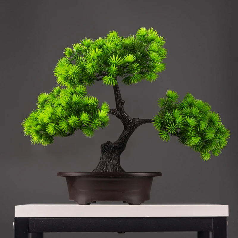 Zen Aura Bonsai