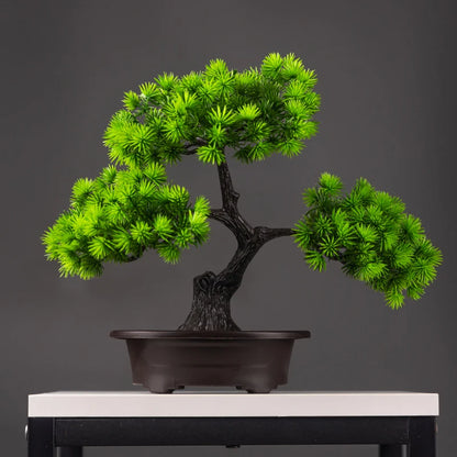 Zen Aura Bonsai