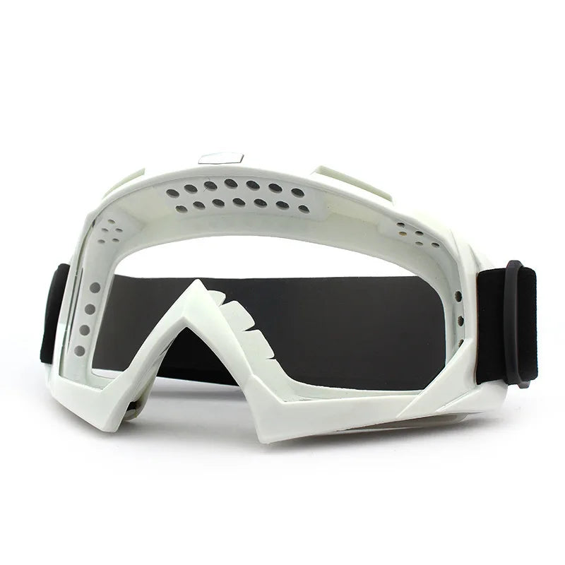 Alpine Reflex Ski Goggles